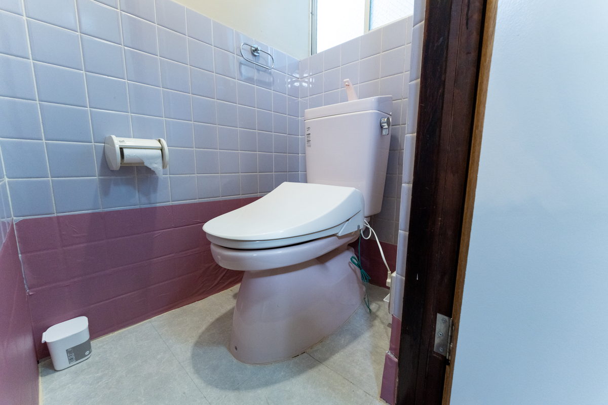 The separate toilet